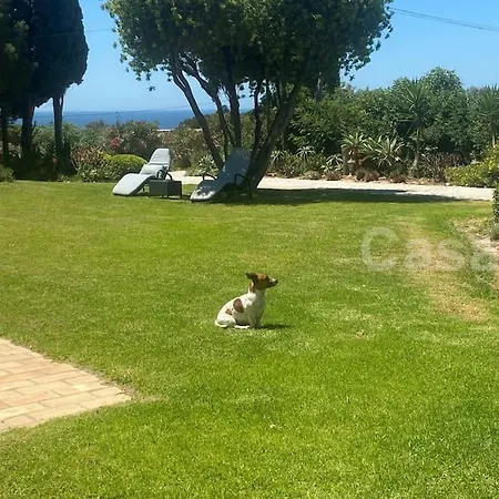 Stunning Holiday In Carvoeiro